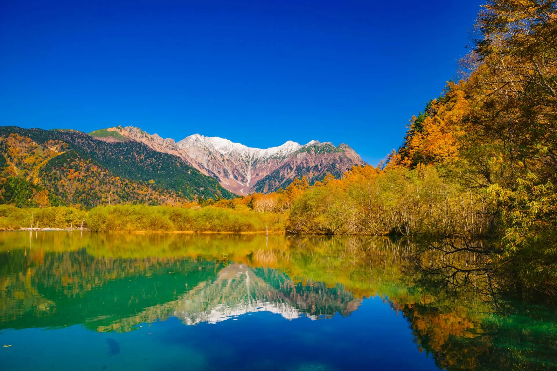 上(shàng)高(gāo)地(dì)、大(dà)正池周邊美(měi)不(bù)勝收的(de)賞楓景點旬