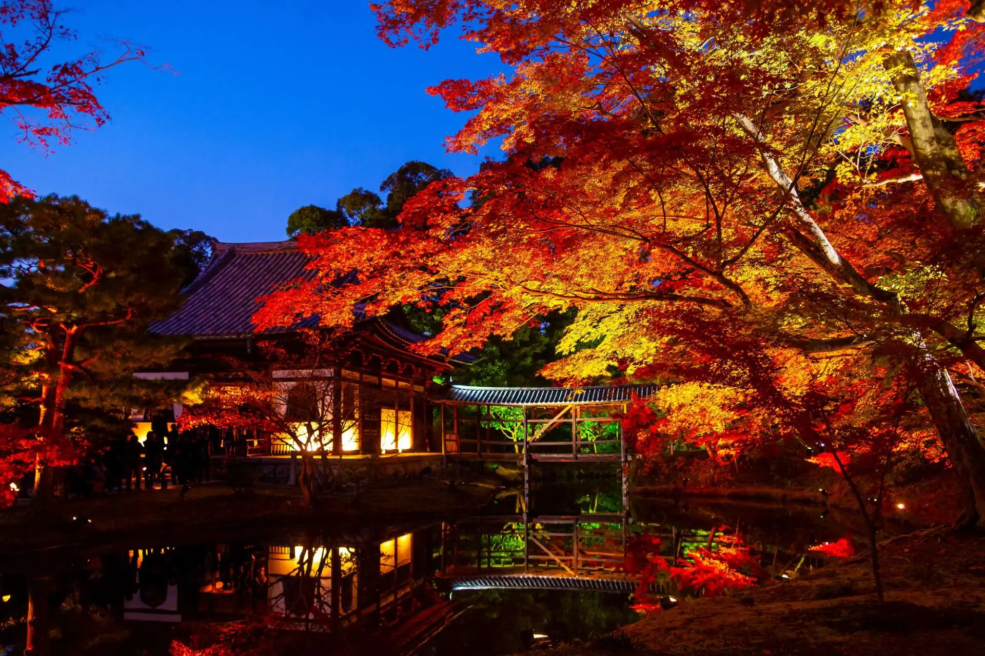 可(kě)以透過夜間(jiān)照(zhào)明(míng)欣賞高(gāo)台寺莊嚴神秘的(de)美(měi)景