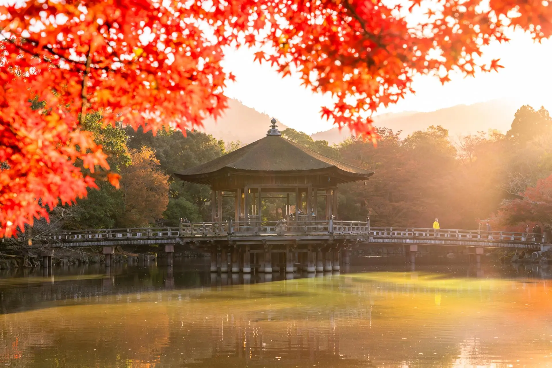 在「奈良公園」欣賞楓葉與浮禦堂相(xiàng)映成趣的(de)美(měi)景