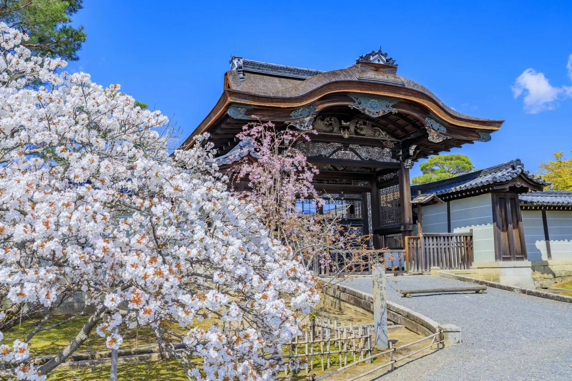 由國(guó)家(jiā)風(fēng)景名勝「禦室櫻」妝點的(de)仁和(hé)寺散發著(zhe)優雅古典的(de)氣息